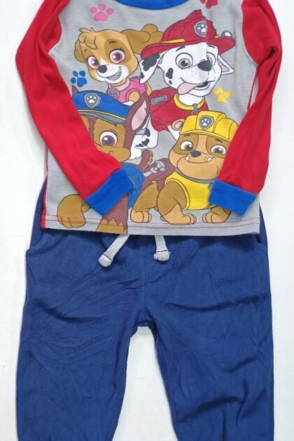 Camiseta y pantalón talle 12 m